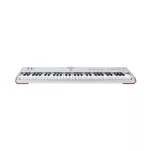 Arturia AstroLab 61 Silver - 2