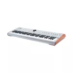 Arturia AstroLab 61 Silver - 5